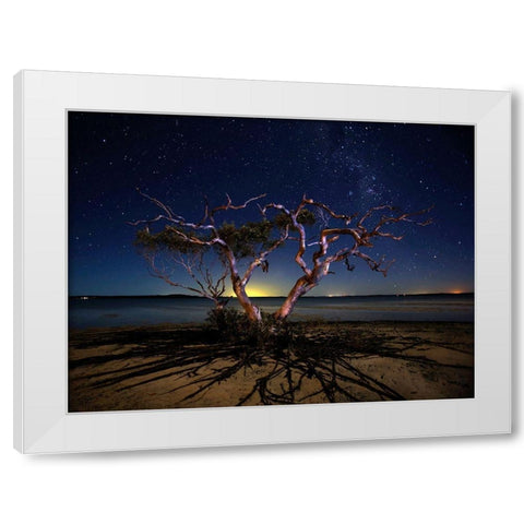 The Tree White Modern Wood Framed Art Print by Brackstone, Mel