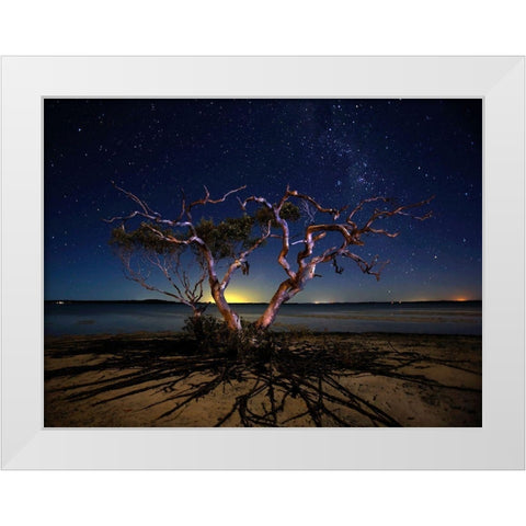 The Tree White Modern Wood Framed Art Print by Brackstone, Mel