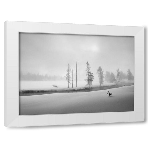 Morning Walk White Modern Wood Framed Art Print by Dou, Shenshen