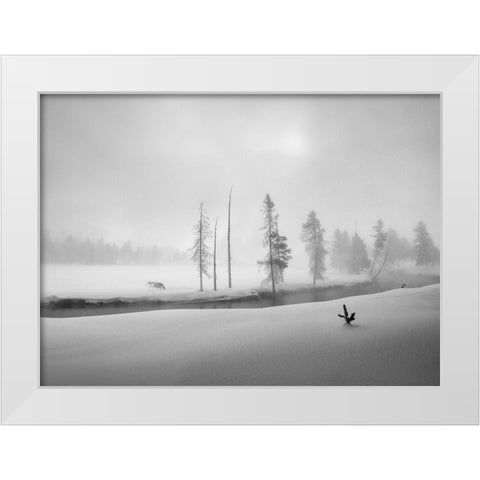 Morning Walk White Modern Wood Framed Art Print by Dou, Shenshen