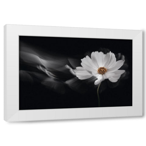Symphony White White Modern Wood Framed Art Print by Karpova, Inna