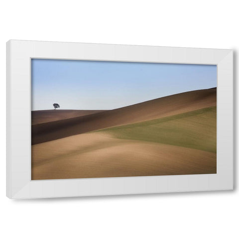 S.T. 009 White Modern Wood Framed Art Print by Gray, Dorian