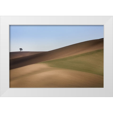 S.T. 009 White Modern Wood Framed Art Print by Gray, Dorian