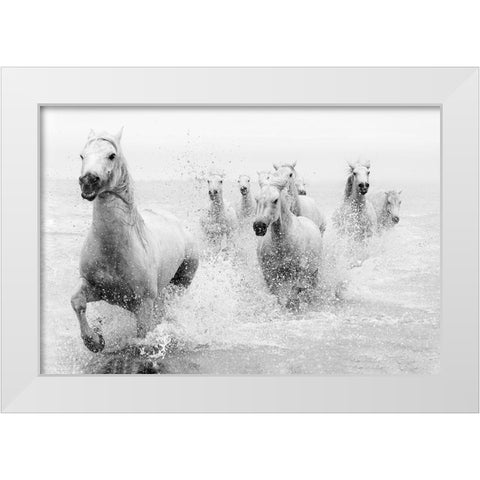 We Are Coming White Modern Wood Framed Art Print by Zvelebil Phd, Marketa