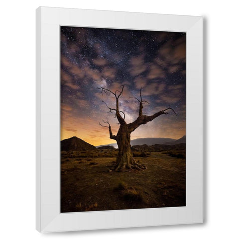 Lonely White Modern Wood Framed Art Print by Ionut Dascalu, Andrei