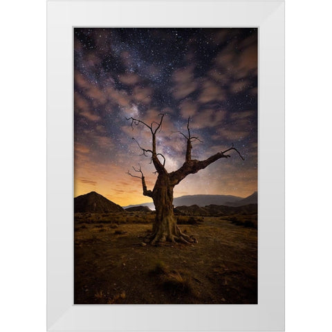 Lonely White Modern Wood Framed Art Print by Ionut Dascalu, Andrei