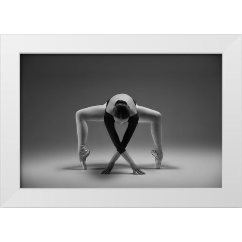 Elegant White Modern Wood Framed Art Print by Li, Rob