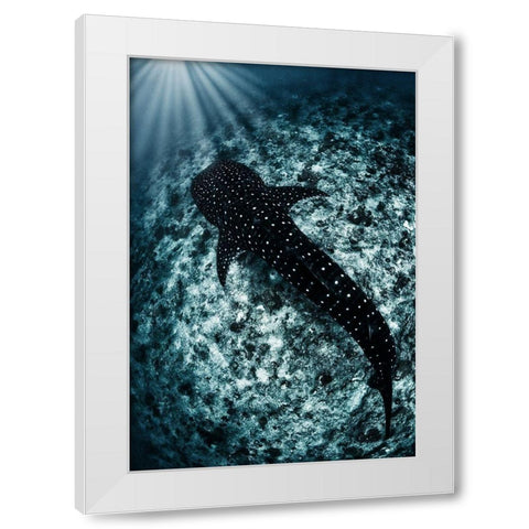 Ocean Line White Modern Wood Framed Art Print by Narchuk, Andrey