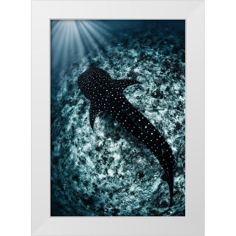 Ocean Line White Modern Wood Framed Art Print by Narchuk, Andrey