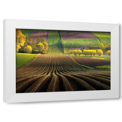 Shape White Modern Wood Framed Art Print by Nienartowicz, Karol