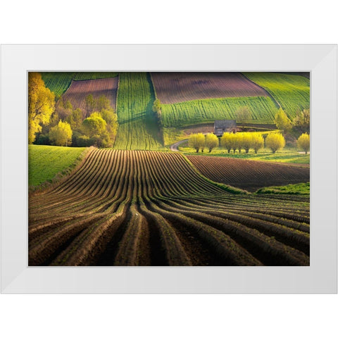 Shape White Modern Wood Framed Art Print by Nienartowicz, Karol