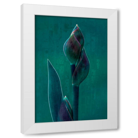 Blue Charade. White Modern Wood Framed Art Print by Hamilton, Chris