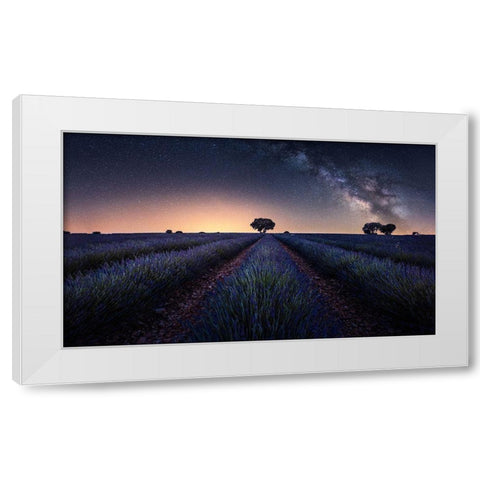 Lavender Fields White Modern Wood Framed Art Print by Ruiz Dueso, Jorge