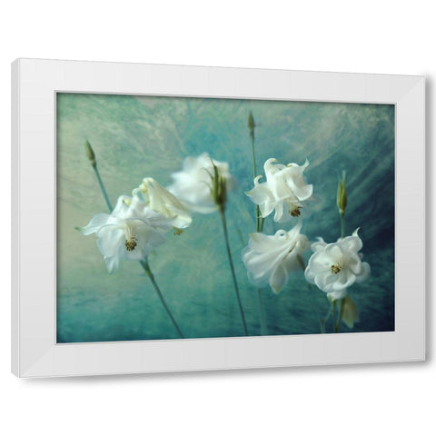 Crowns Of Thorns White Modern Wood Framed Art Print by Kreiten, Mike