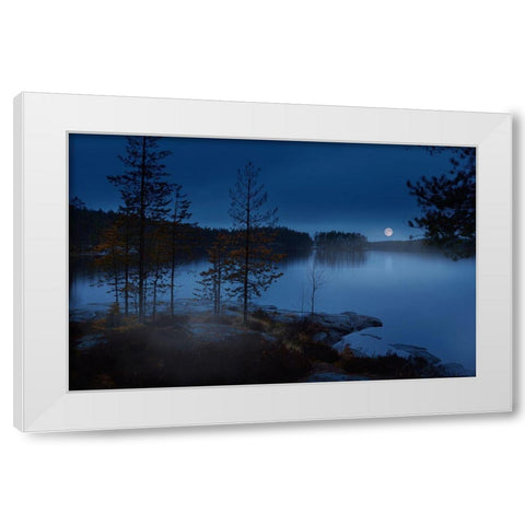 Night Mist White Modern Wood Framed Art Print by Georgieva V, Nikki