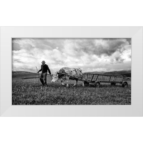 Bent Spine White Modern Wood Framed Art Print by Toldi, Zoran