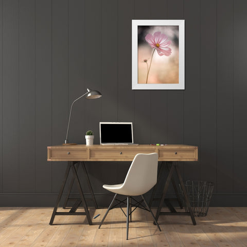 Cosmos White Modern Wood Framed Art Print by Gronkjar, Lotte