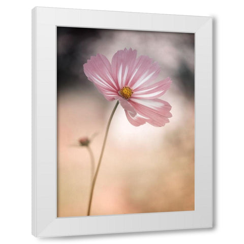 Cosmos White Modern Wood Framed Art Print by Gronkjar, Lotte