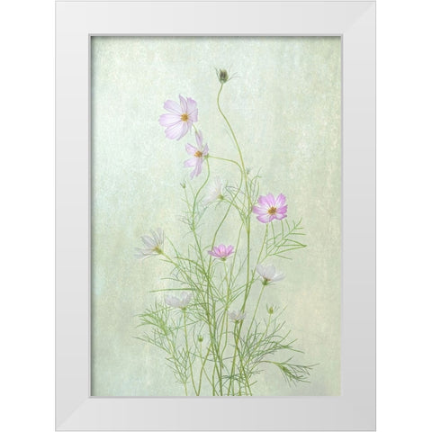Cosmos White Modern Wood Framed Art Print by W., Catherine
