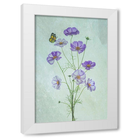 Elegant Cosmos Flowers White Modern Wood Framed Art Print by Jacobs, Lydia