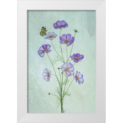 Elegant Cosmos Flowers White Modern Wood Framed Art Print by Jacobs, Lydia