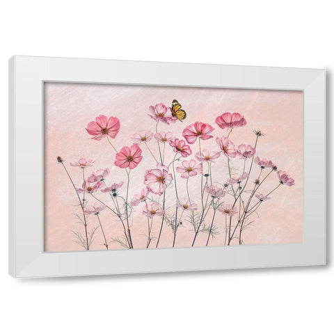 Cosmos And Butterfly White Modern Wood Framed Art Print by Jacobs, Lydia