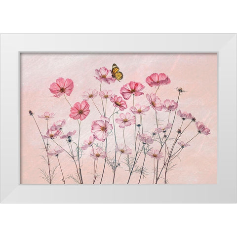 Cosmos And Butterfly White Modern Wood Framed Art Print by Jacobs, Lydia