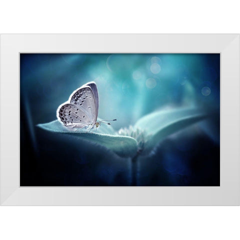 In Serenity White Modern Wood Framed Art Print by Maududdin, Fauzan