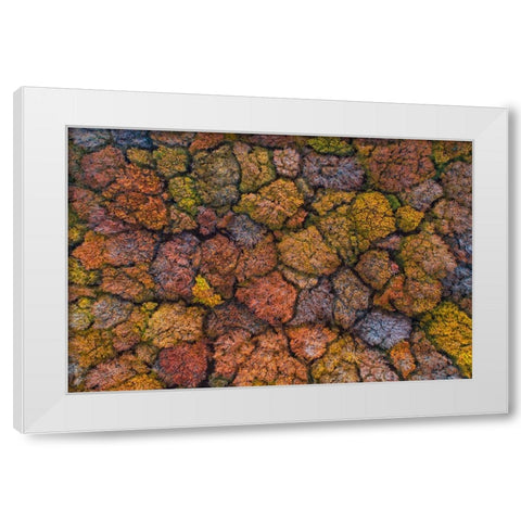 Above The Autumn White Modern Wood Framed Art Print by Ruoppolo, Luigi