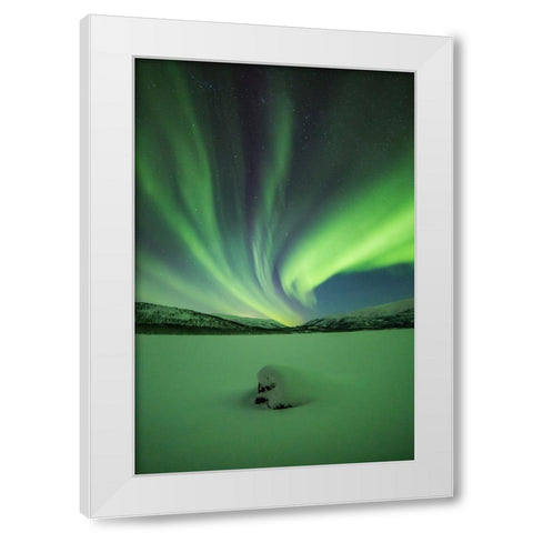 Branching Lights White Modern Wood Framed Art Print by Mikelborg, Niklas
