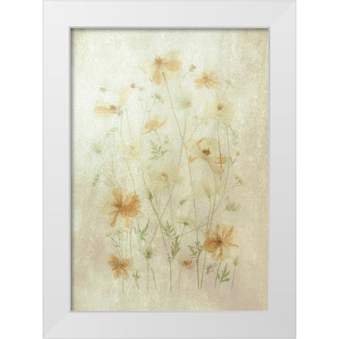 Yellow Cosmos White Modern Wood Framed Art Print by Zhou, Fangping