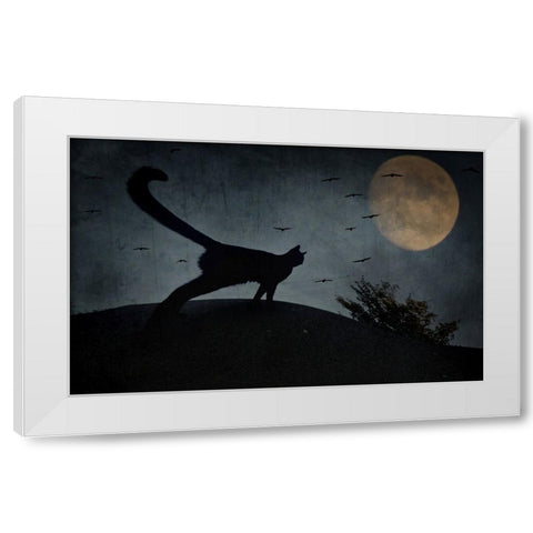 the curious tail of the cat filemon... White Modern Wood Framed Art Print by Fabrowski, Robert