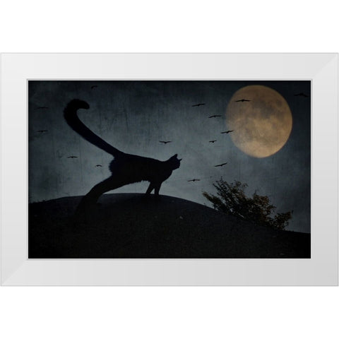 the curious tail of the cat filemon... White Modern Wood Framed Art Print by Fabrowski, Robert