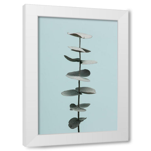Eucalyptus Blue No 1 White Modern Wood Framed Art Print by 1x Studio III