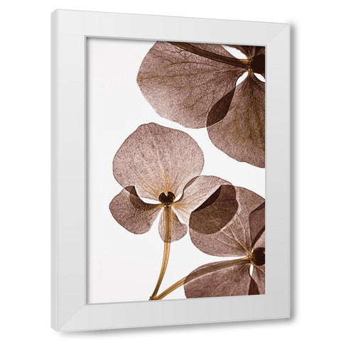 Botanical 5 White Modern Wood Framed Art Print by Lenka