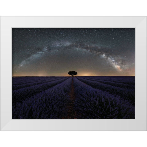 Solitario - Solitaire White Modern Wood Framed Art Print by Concepcion Alvarado, Jesus