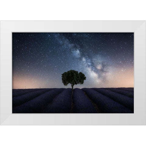 Tree And Milky Way White Modern Wood Framed Art Print by Ruiz Dueso, Jorge