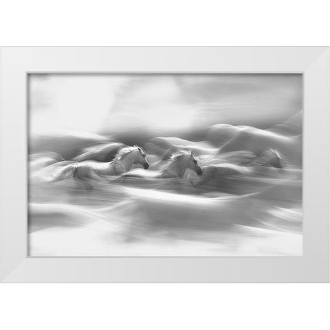 Morning Dream White Modern Wood Framed Art Print by Malovrh, Milan