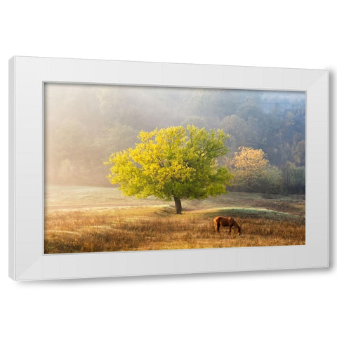 Tree Of Life White Modern Wood Framed Art Print by Prioteasa, Sebastian