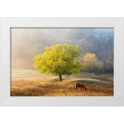 Tree Of Life White Modern Wood Framed Art Print by Prioteasa, Sebastian