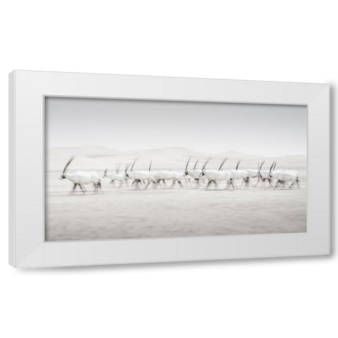 Movement White Modern Wood Framed Art Print by Newton, Dan