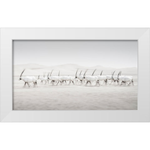 Movement White Modern Wood Framed Art Print by Newton, Dan