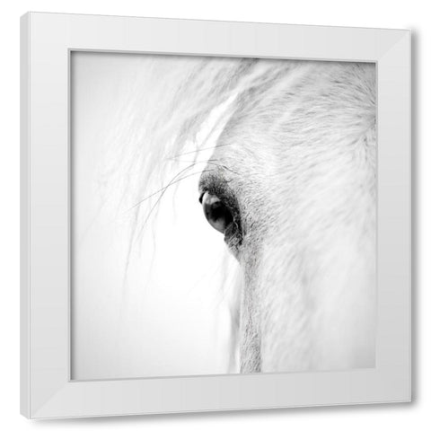 Hose eye White Modern Wood Framed Art Print by Zhao, Alex