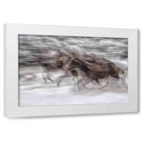 black dominance White Modern Wood Framed Art Print by Malovrh, Milan