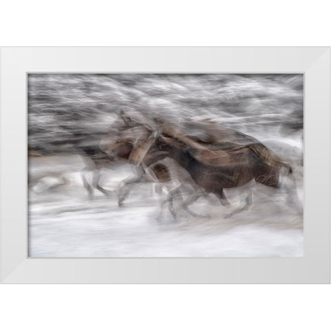 black dominance White Modern Wood Framed Art Print by Malovrh, Milan