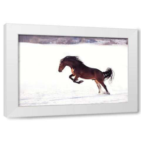735W 2 White Modern Wood Framed Art Print by Bogdan R, Mihai