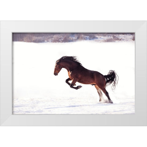 735W 2 White Modern Wood Framed Art Print by Bogdan R, Mihai