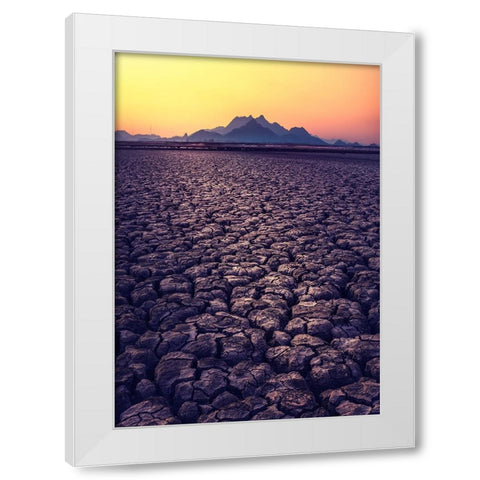 Thirst White Modern Wood Framed Art Print by Seo, Tiger