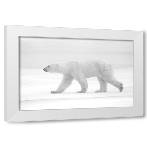 Just White White Modern Wood Framed Art Print by Pozzi, Marco