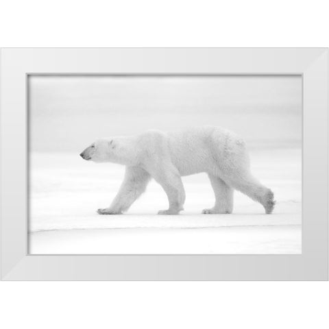 Just White White Modern Wood Framed Art Print by Pozzi, Marco